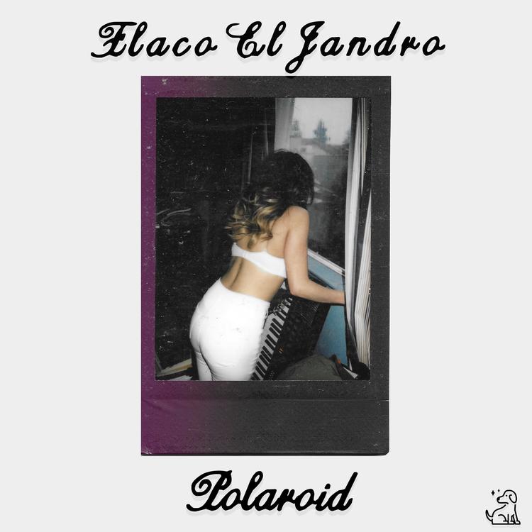 Flaco El Jandro's avatar image