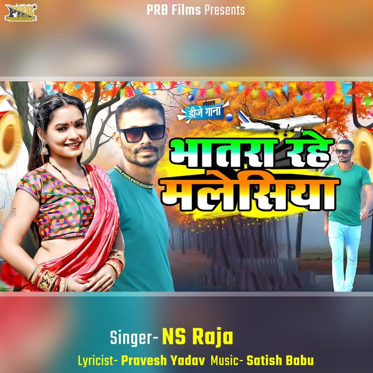 NS Raja's avatar image