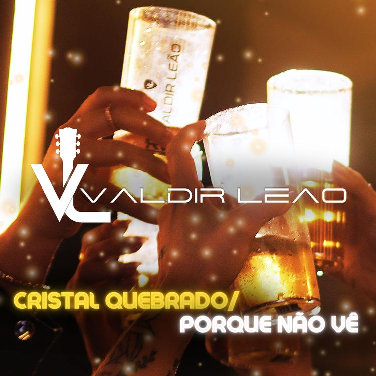 VALDIR LEÃO's avatar image