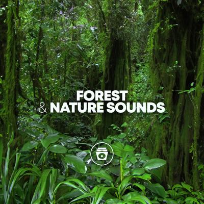 Natural Sounds's cover