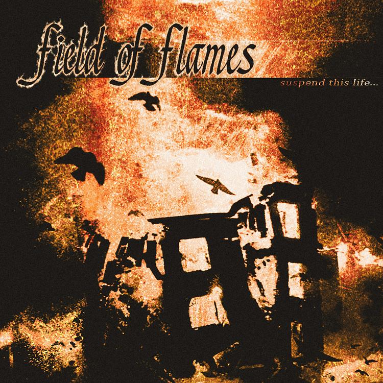 Field of Flames's avatar image