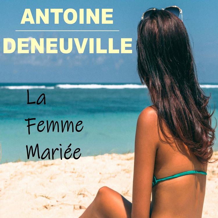 Antoine DENEUVILLE's avatar image