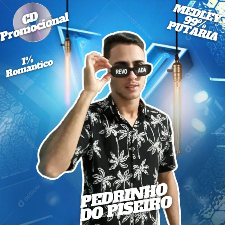 Pedrinho do Piseiro's avatar image