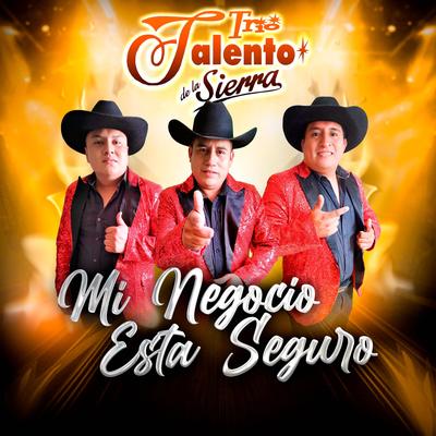 Mi negocio esta seguro's cover