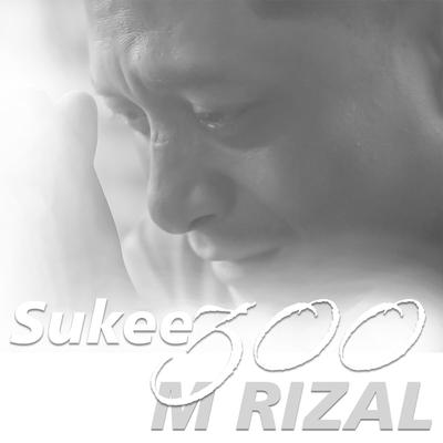 Sukee 300 (Cover)'s cover