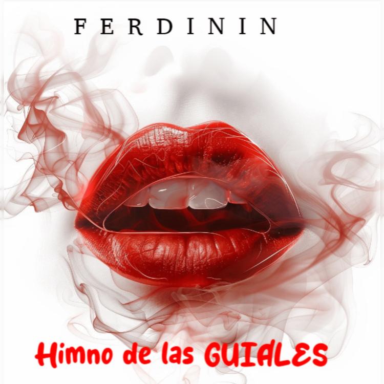 Ferdinin's avatar image