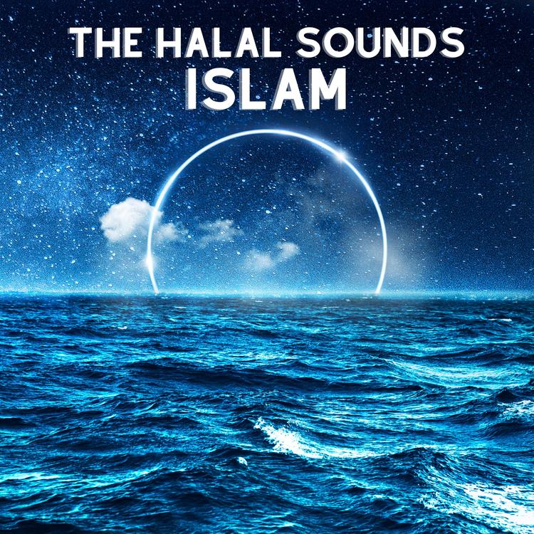The Halal Sounds's avatar image
