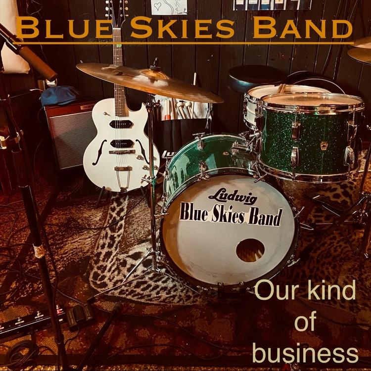 Blue Skies Band's avatar image