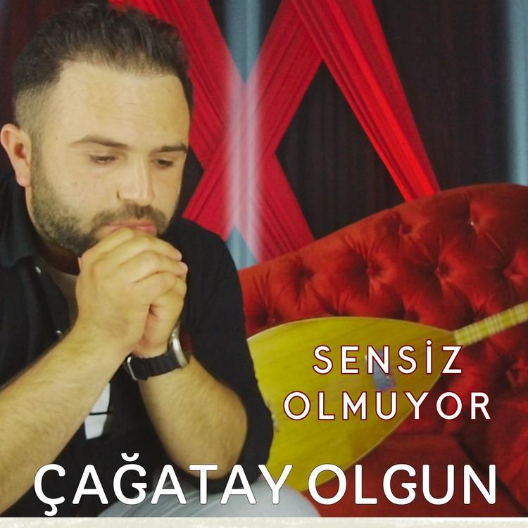 Çağatay Olgun's avatar image