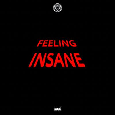 Feeling Insane By Ama Millieir's cover