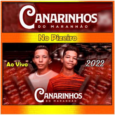 Canarinhos do Maranhão's cover