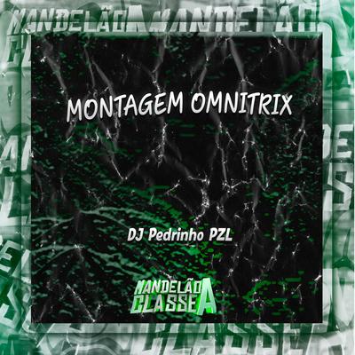 DJ Pedrinho PZL's cover