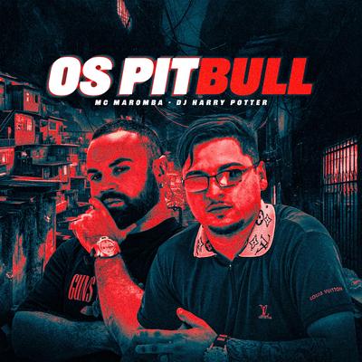 Os Pitbull By Mc Maromba, Dj Harry Potter's cover