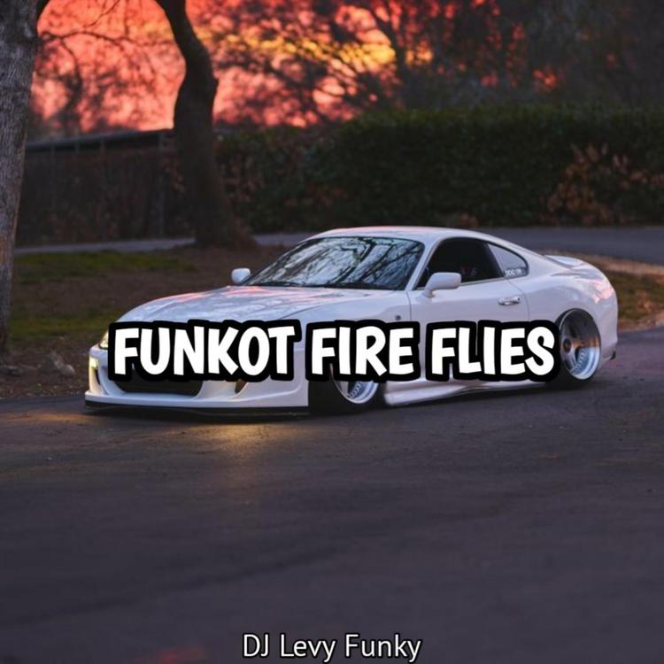 DJ Levy Funky's avatar image
