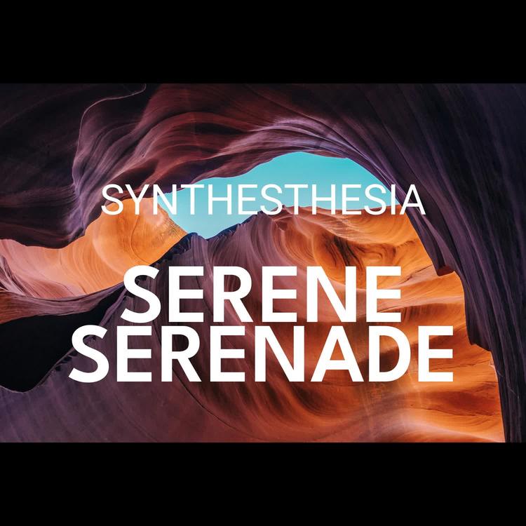 Synthesthesia's avatar image