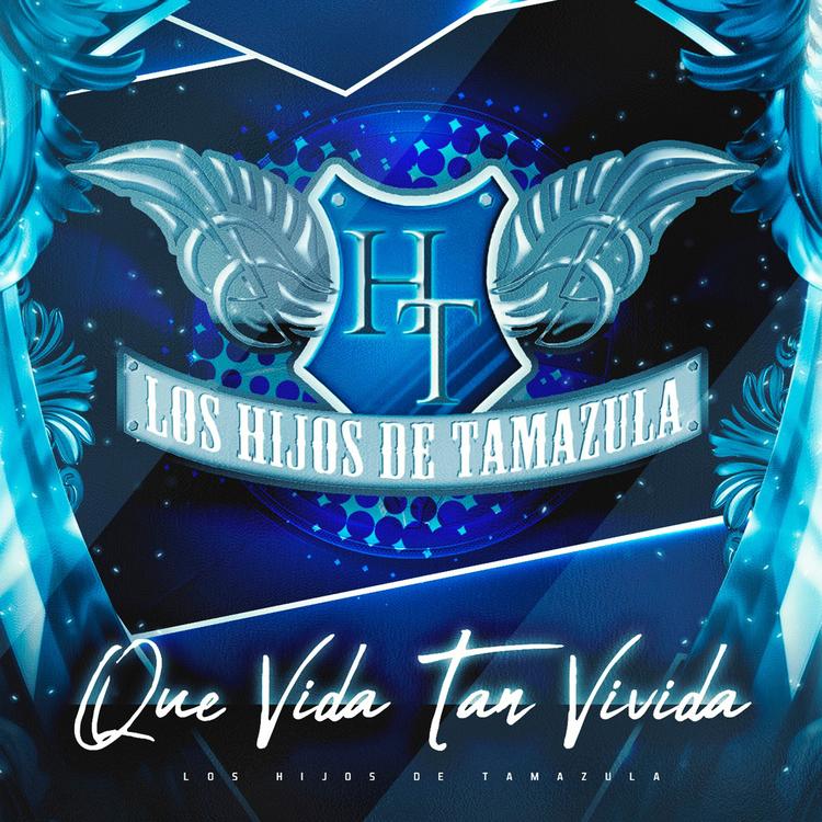 Los Hijos de Tamazula's avatar image