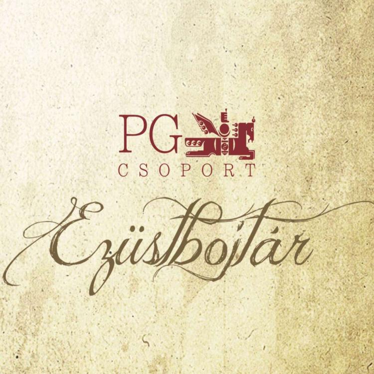 PG Csoport's avatar image