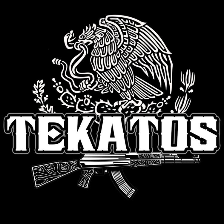 TeKaToS's avatar image