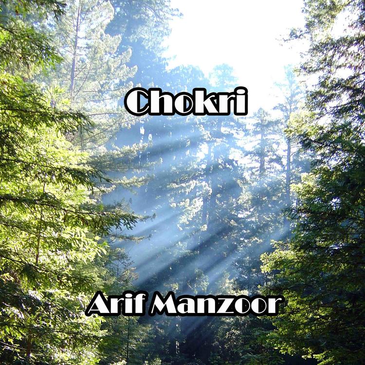 Arif Manzoor's avatar image