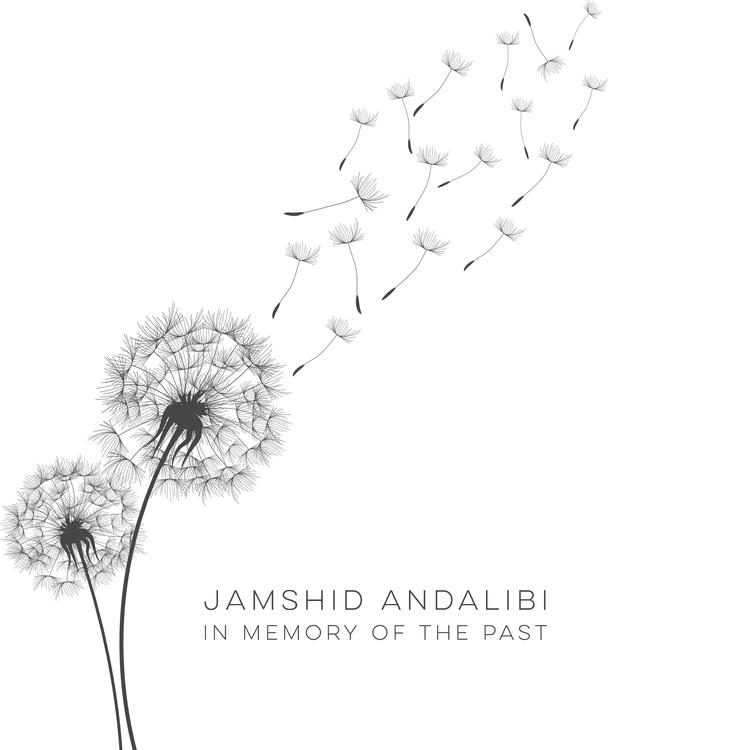 Jamshid Andalibi's avatar image