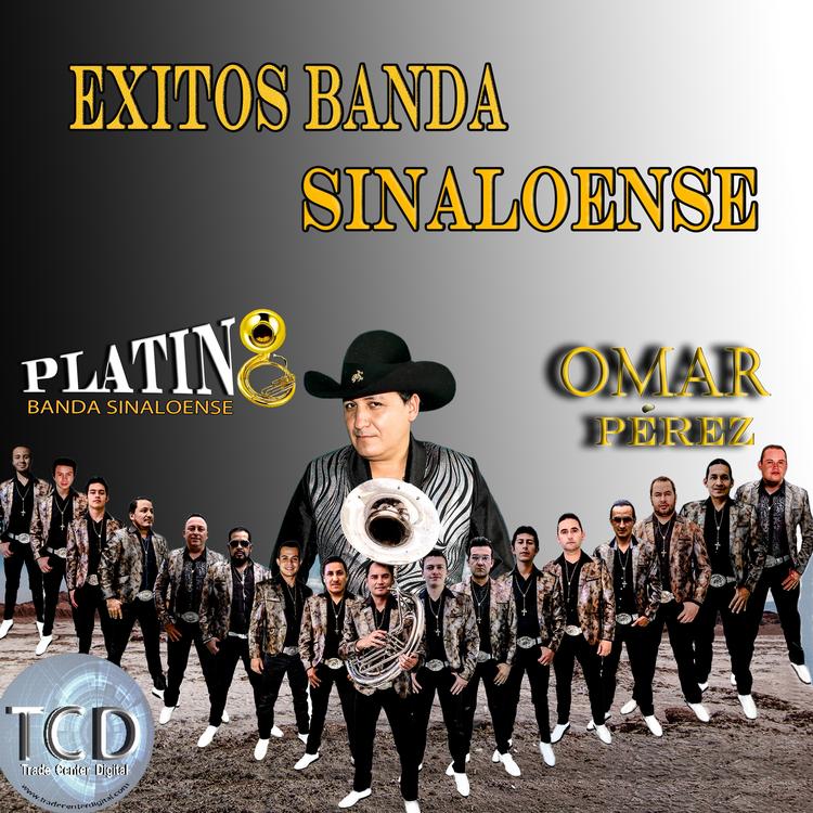 Omar Pérez Y Su Banda Platino's avatar image