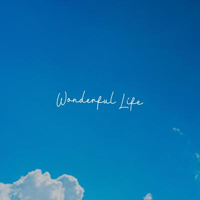 Wonderful Life By Dominic Donner, John Skyfield's cover