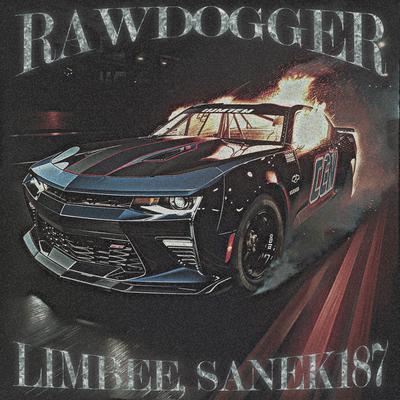 RAWDOGGER's cover