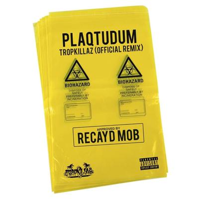 Plaqtudum (Tropkillaz Remix)'s cover
