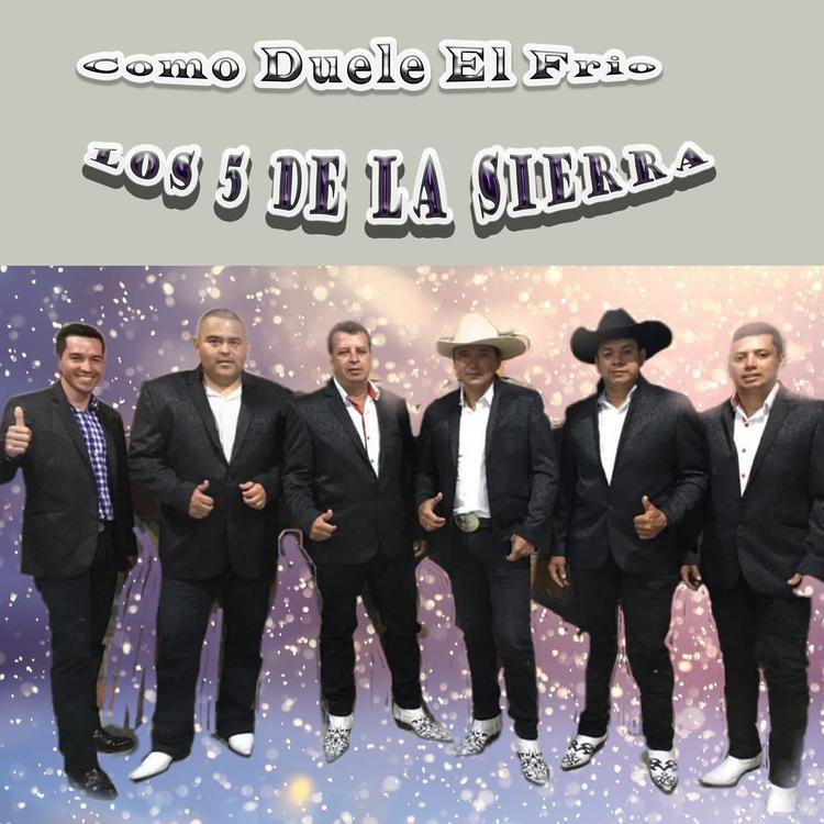 Los 5 De La Sierra's avatar image