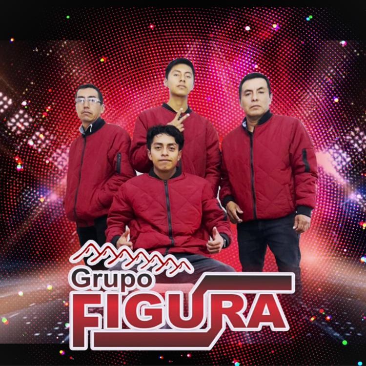 Grupo Figura's avatar image