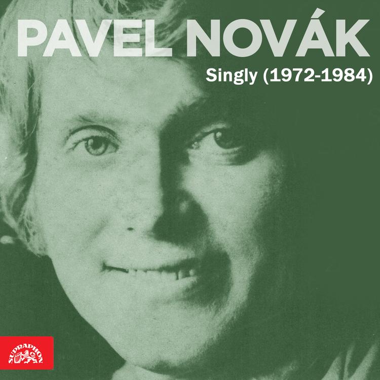 Pavel Novák's avatar image