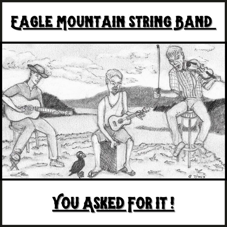 Eagle Mountain String Band's avatar image