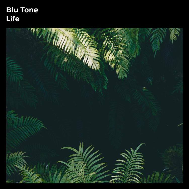 Blu Tone's avatar image