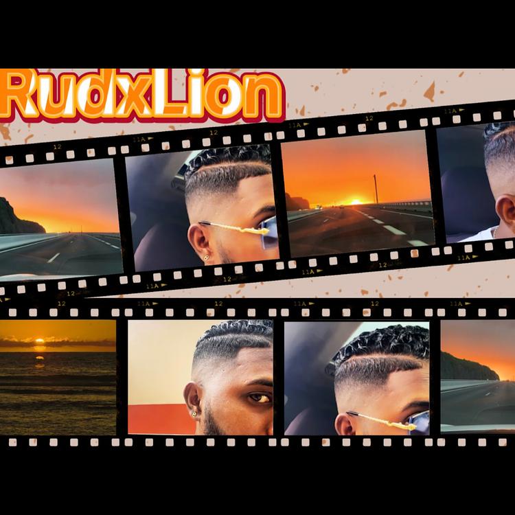 RudxLion's avatar image