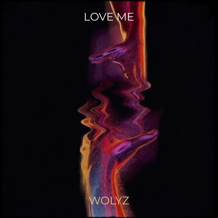 WOLYZ's avatar image