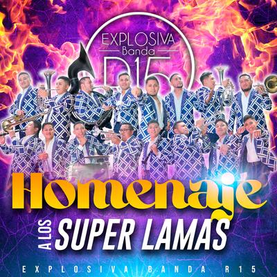 Homenaje a Los Super Lamas's cover