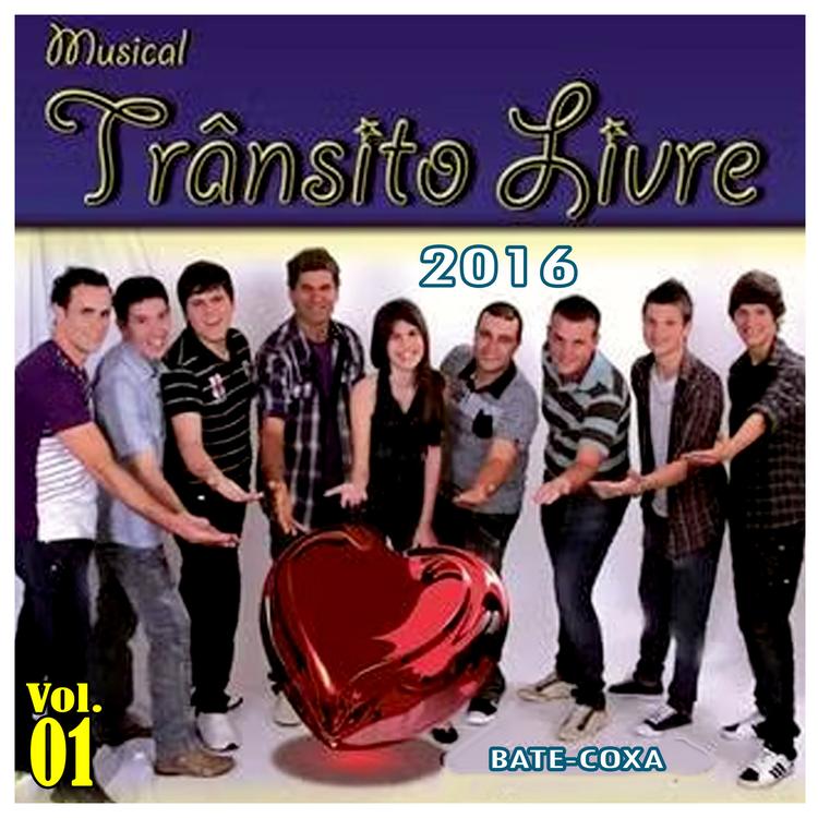 Musical Transito Livre's avatar image