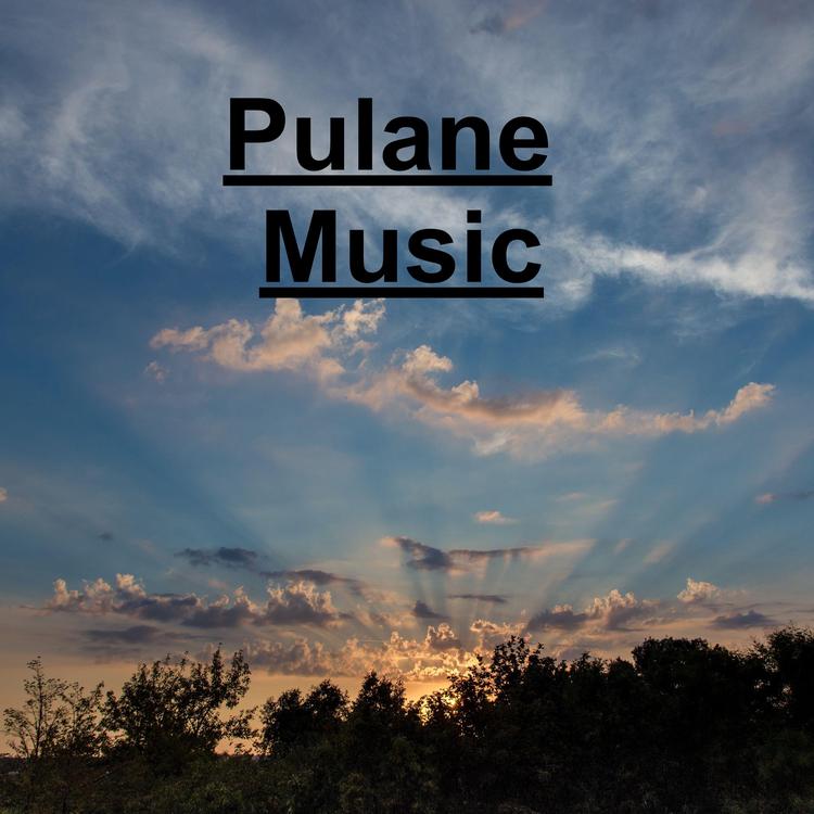 Pulane's avatar image