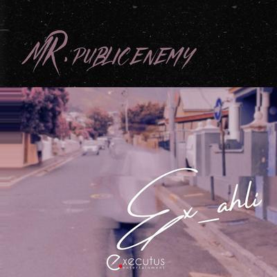 Mr. Public Enemy's cover