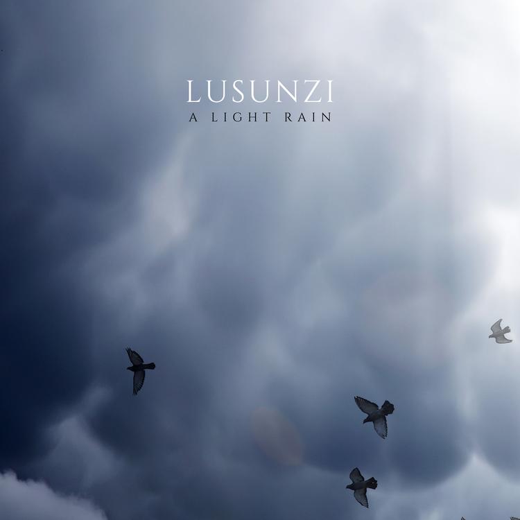 Lusunzi's avatar image