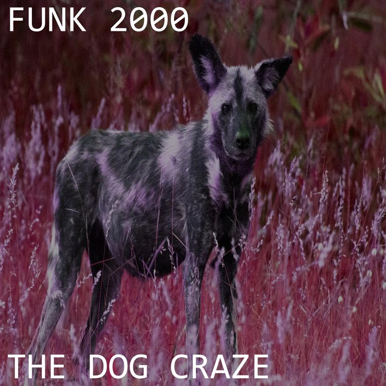 Funk 2000's avatar image