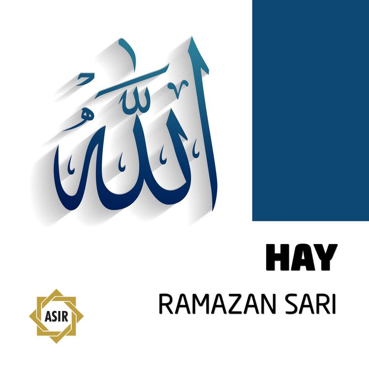 Ramazan Sarı's avatar image