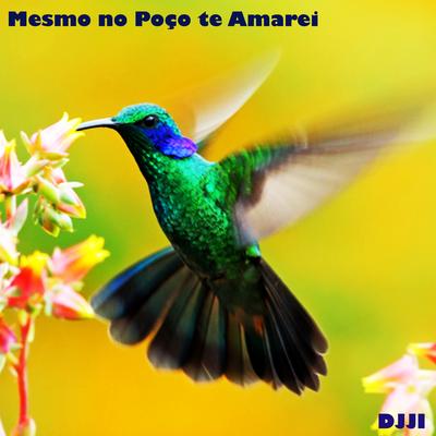 Mesmo no Poço Te Amarei's cover