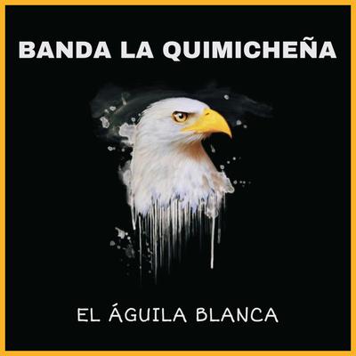 Banda La Quimicheña's cover