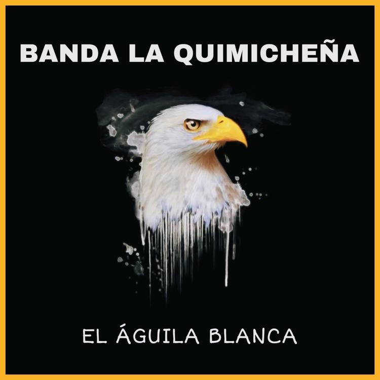 Banda La Quimicheña's avatar image