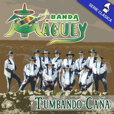 Tumbando Caña (El Alacrán) By Banda Maguey's cover