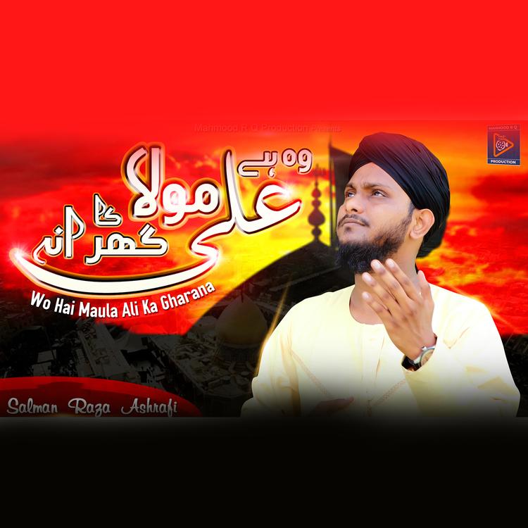 Salman Raza Ashrafi's avatar image