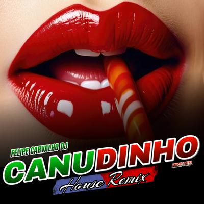 Canudinho (House Remix) By Felipe Carvalho DJ, Music Total's cover