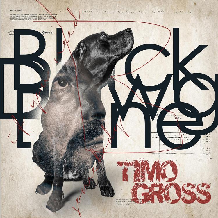 Timo Gross's avatar image