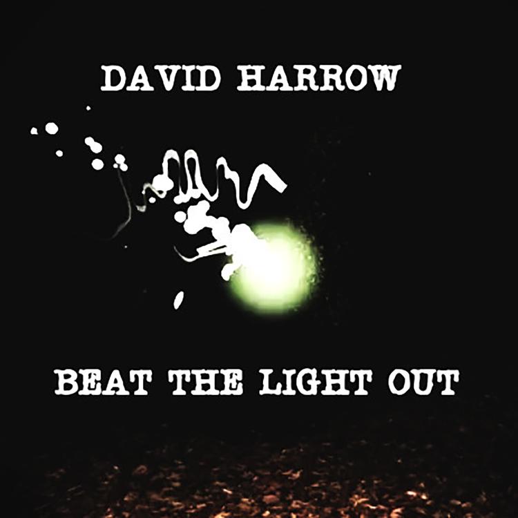 David Harrow's avatar image